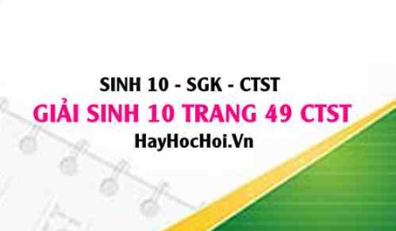 Giải Sinh 10 trang 49 Chân trời sáng tạo SGK